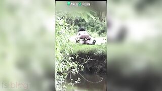 Indian couple from the is caught having sex in the jungle, desi XXX mms