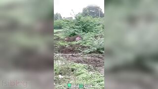 Voyeur captures Desi aunty pissing in the greenery in XXX video MMS