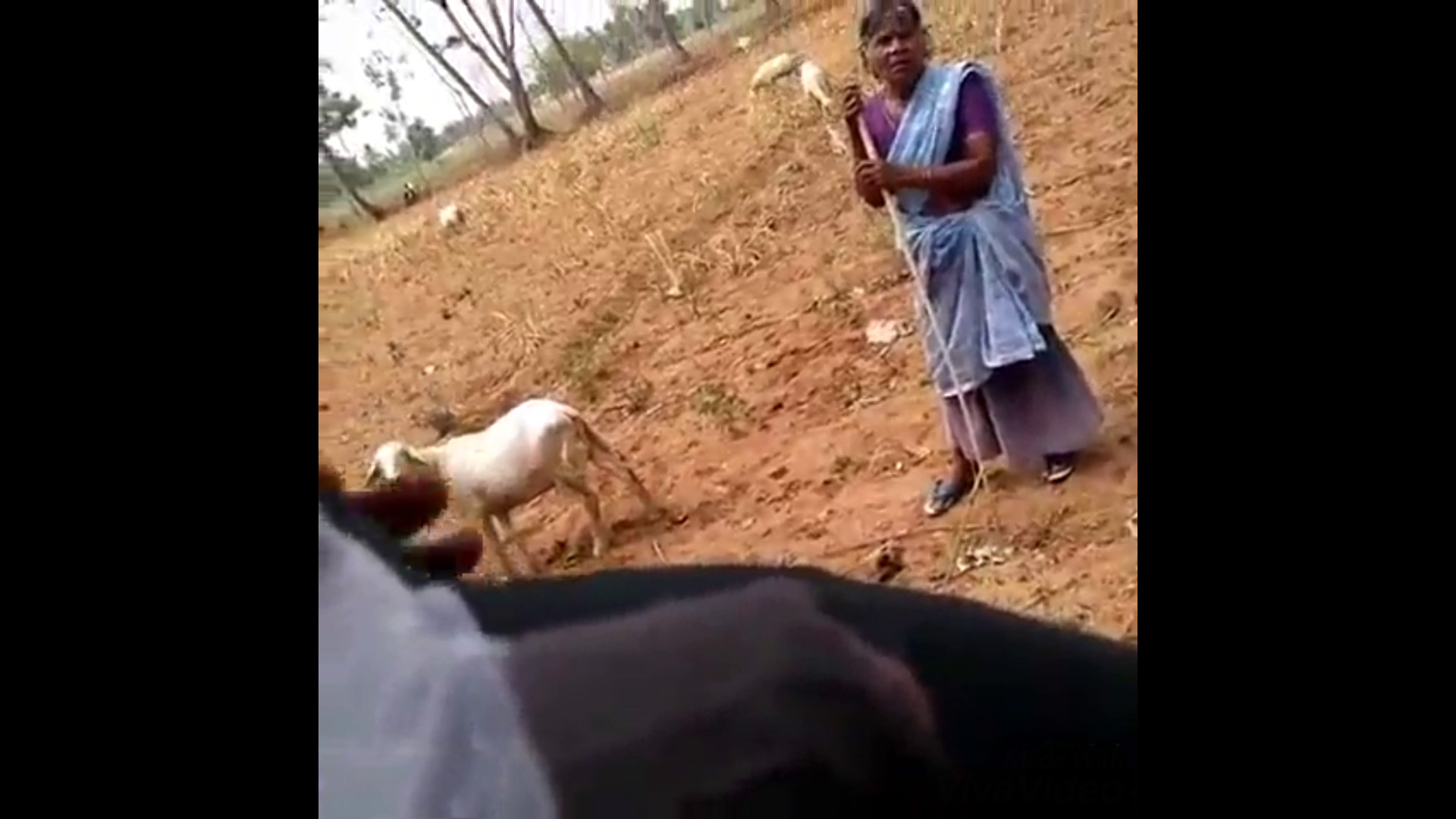 Indian Granny Fuck Outdoor - Mad young indian guy dick flash village granny outdoor, new Desi viral mms  : INDIAN SEX on TABOO.DESIâ„¢