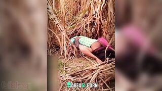 Husband caught wife emotional fuck with lover outdoor in jungle, Desi mms sex