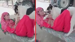 Tami Girls Dog Xxx Video - Filthy horny village school girl play with dog, desi sex video : INDIAN SEX  on TABOO.DESIâ„¢